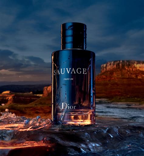 ysl sauvage cologne|sauvage perfume dior cologne.